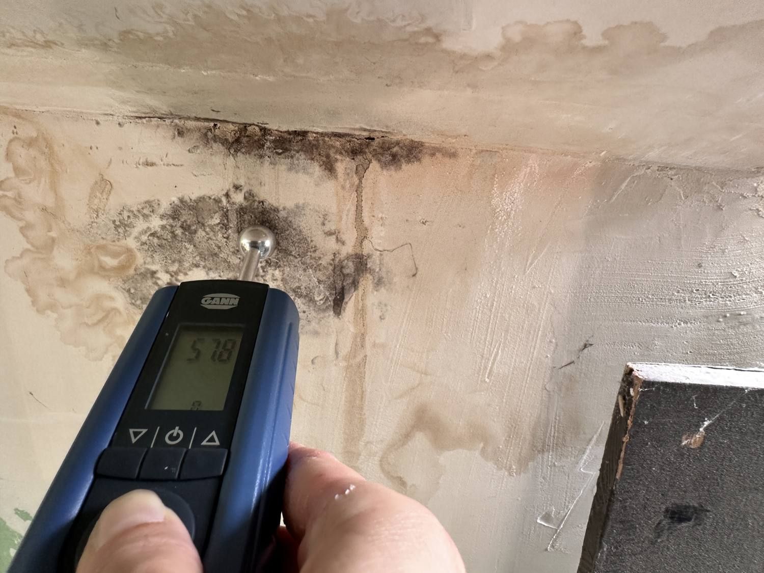 Messgerät vor einer Wand mit Schimmelbefall
